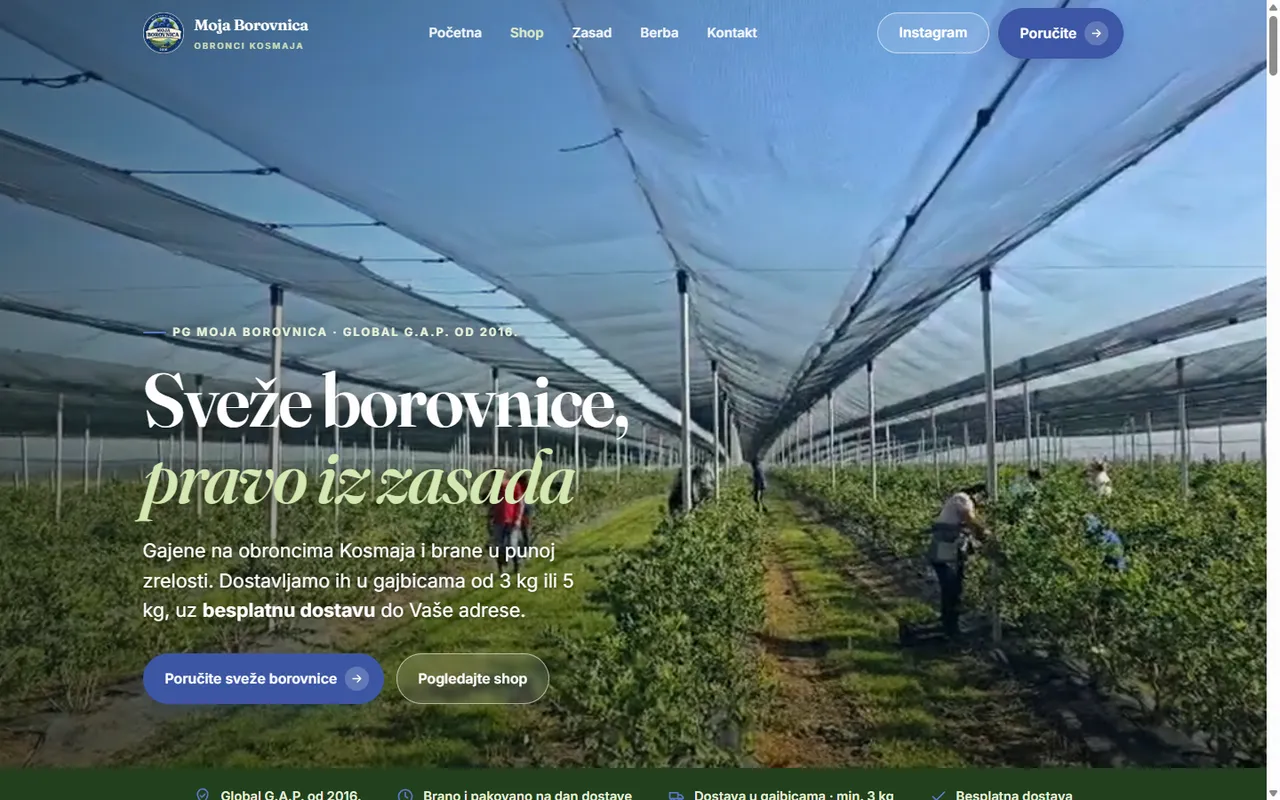 Moja Borovnica — prikaz sajta proizvodnog brenda